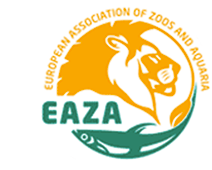 eaza