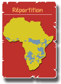 carte repartition des lions